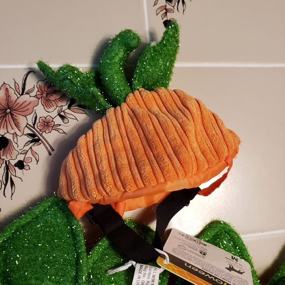 DOG COSTUME PUMPKIN - Picture 6 of 12